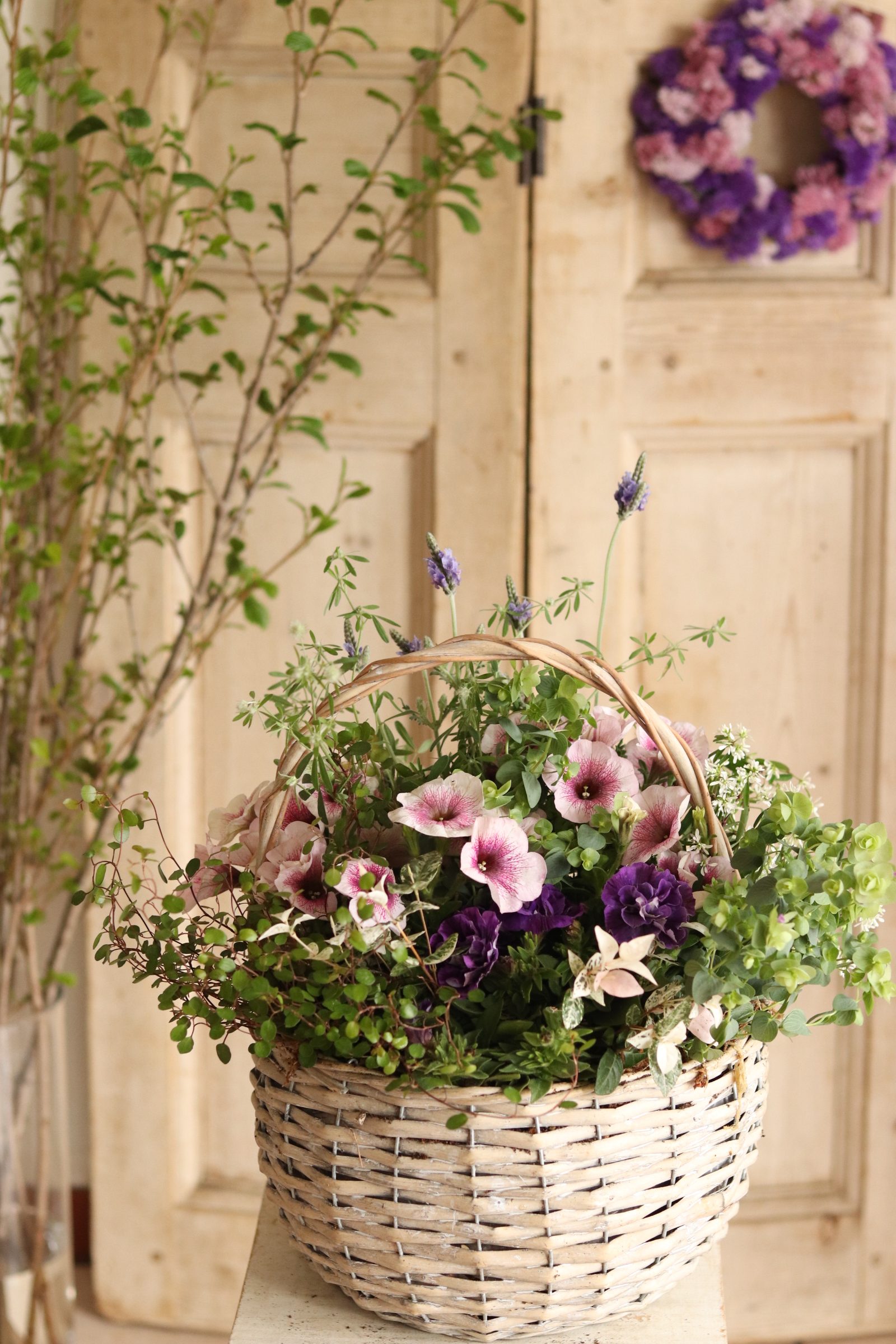 母の日にも♪ 寄せ植え　花■ペチュニアの寄せ植え 母の日にも♪ 寄せ植え花□ペチュニアの寄せ植え